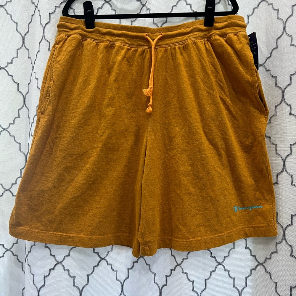 Champion Men's Mid Weight Shorts